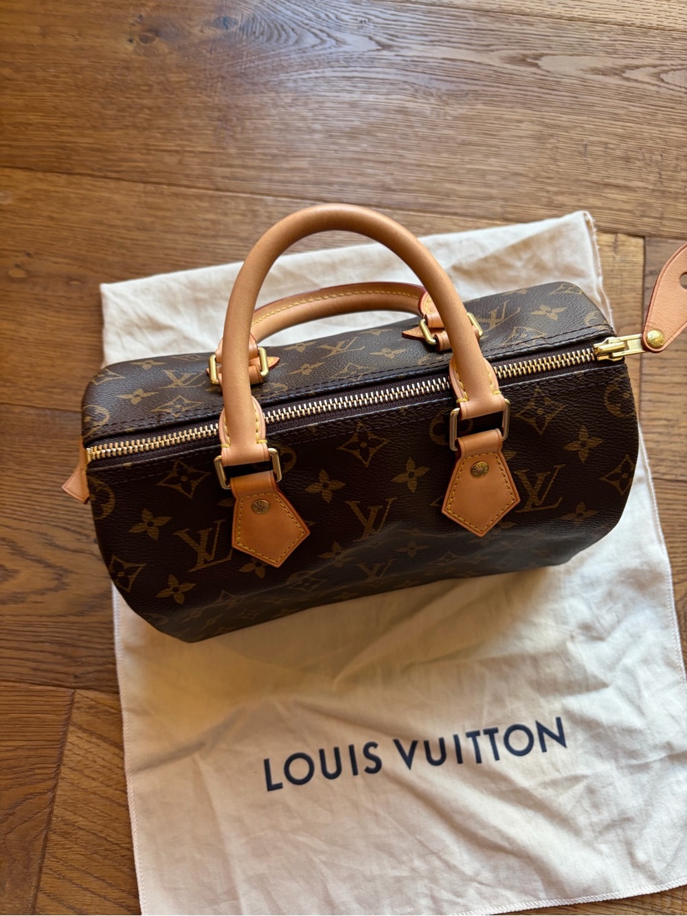 Louis Vuitton Monogram Canvas Speedy 25 in Brown and Tan